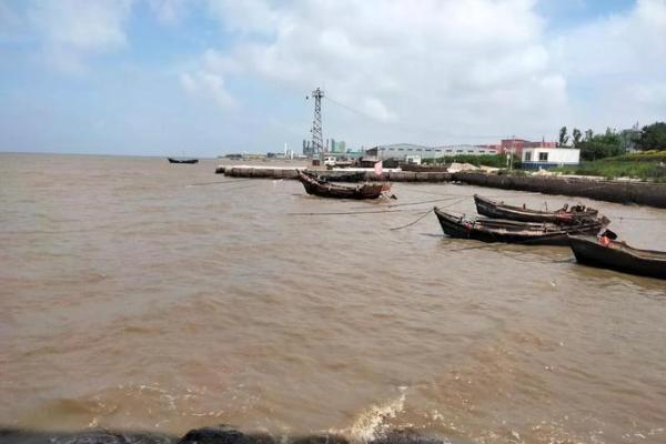 癸亥年大海水命:大海的宽广与命运的契合 癸亥年大海水命:大海的宽广与命运的契合