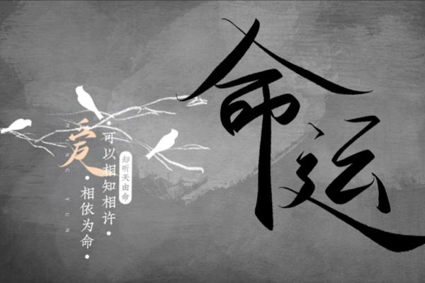 探寻命运奥秘：如何判断属于自己的命运类型