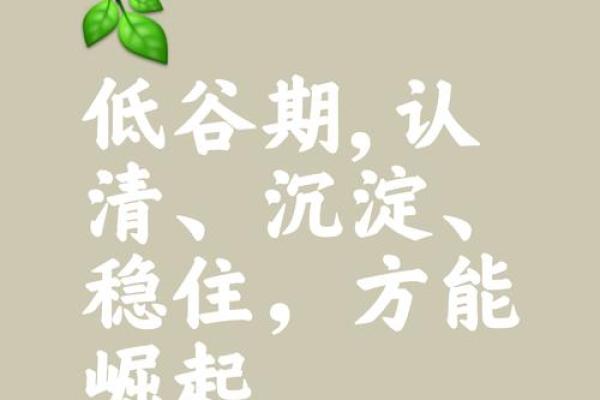 命运如石，攀登人生的高峰与低谷