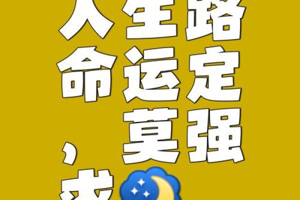 命运如石，攀登人生的高峰与低谷