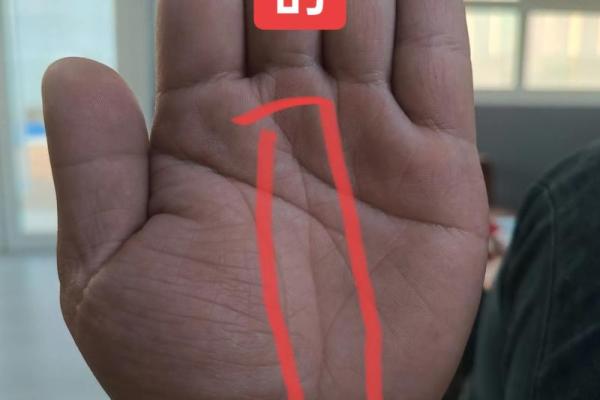 男孩双手断掌的命理解析：命运的隐秘密码