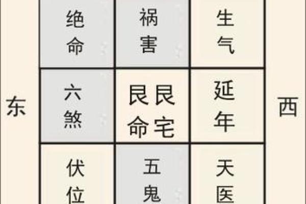 探寻1946年出生女性的宅命特征与生活智慧