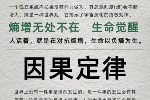 揭示丁亥庚戌己亥己命运背后的奥秘与智慧