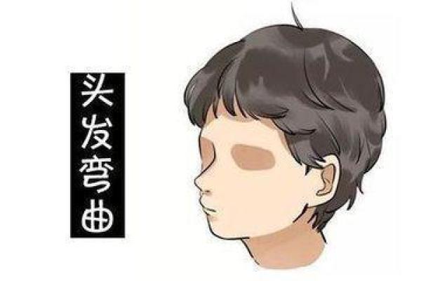 头发太多的人命运:从外表到内心的深层解析 头发太多的人命运:从外表到内心的深层解析