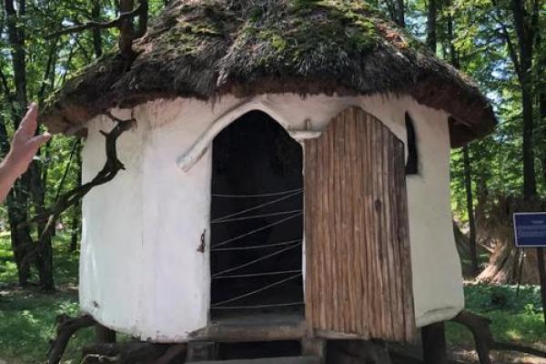 探寻除土狗之命：揭示古老信仰中的神秘力量与现实意义