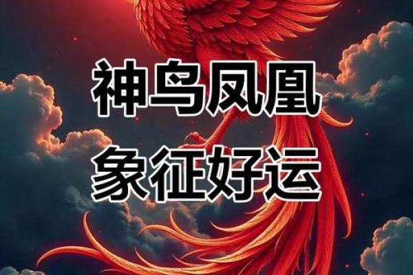 命理中的凤凰:象征重生与吉祥的神圣寓意 命理中的凤凰:象征重生与吉祥的神圣寓意