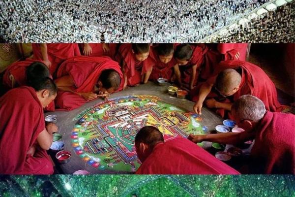 九命灵猫:探寻生命的无限可能与灵魂的轮回 九命灵猫:探寻生命的无限可能与灵魂的轮回