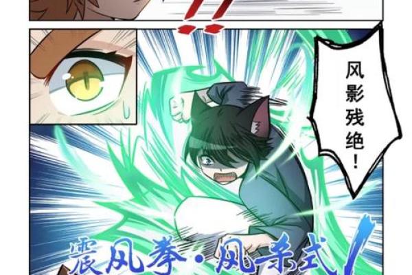 九命灵猫:探寻生命的无限可能与灵魂的轮回 九命灵猫:探寻生命的无限可能与灵魂的轮回