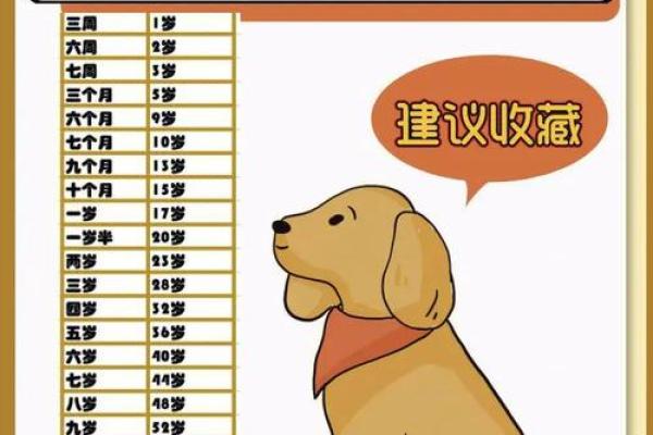 属狗1979年出生者的命理解析与人生运势 属狗1979年出生者的命理解析与人生运势