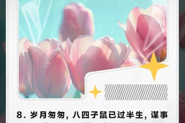 1984鼠年出生的人命运解析与人生智慧 1984鼠年出生的人命运解析与人生智慧