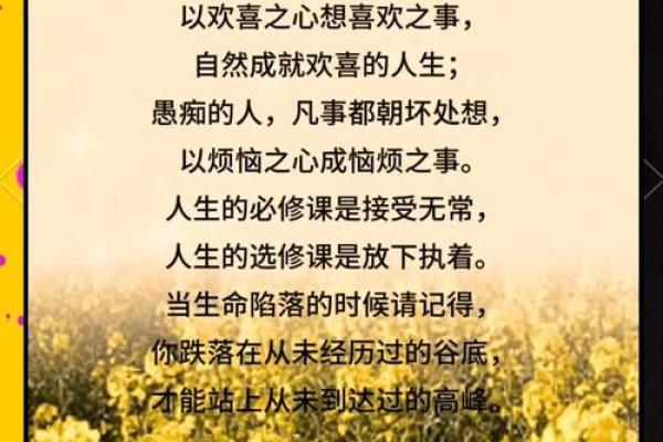 心态决定命运:如何拥有美好的人生 心态决定命运:如何拥有美好的人生