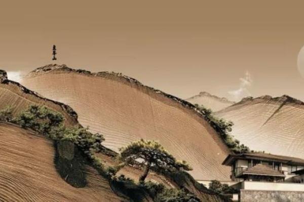 在绝唱中寻找生命的真谛与苦涩的命运