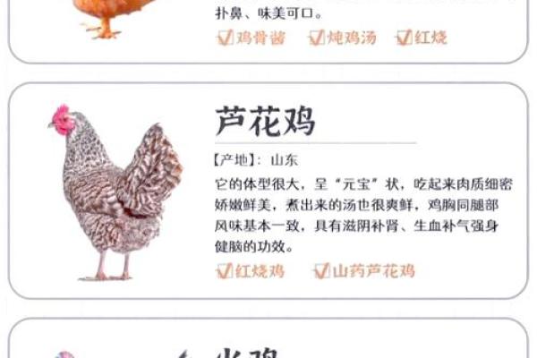 69属鸡:探秘土命鸡的性格与命运 69属鸡:探秘土命鸡的性格与命运