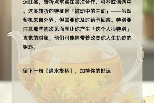 探索命运的奥秘:怎样把握生命中的每一个转折点 探索命运的奥秘:怎样把握生命中的每一个转折点