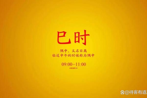 1985年巳时出生者的命运与人生揭示 1985年巳时出生者的命运与人生揭示
