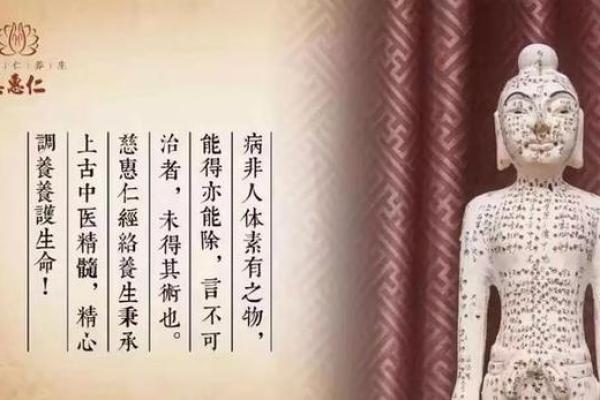 为何老公的命运如此短暂？深入探讨生活与健康的秘密