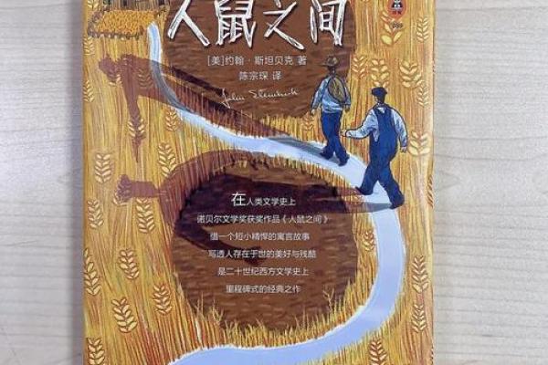 1972年鼠人的命运:探索个性与人生之路 1972年鼠人的命运:探索个性与人生之路