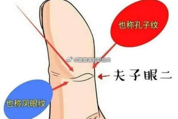 揭秘夫子纹:男人的命格与灵性之旅 揭秘夫子纹:男人的命格与灵性之旅