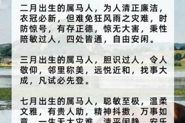 50岁以上属马人士的命运解析与生活智慧 50岁以上属马人士的命运解析与生活智慧