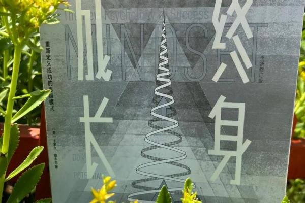 从16到55岁：探索命运与成长的旅程