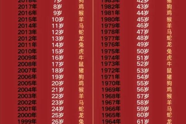 1994年狗年出生的人命运与性格解析 1994年狗年出生的人命运与性格解析
