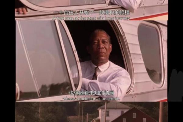 蚀骨的绝望与心灵的救赎:何为真正的打动? 蚀骨的绝望与心灵的救赎:何为真正的打动?