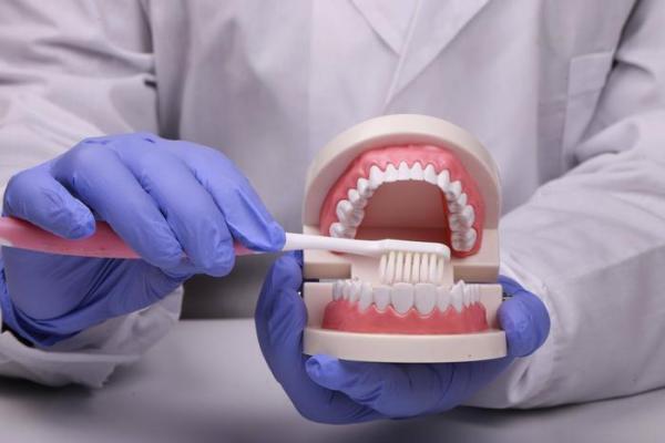 探索牙科种子的未来:助力口腔健康的新希望 探索牙科种子的未来:助力口腔健康的新希望