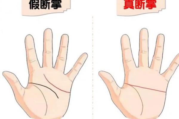 女人断掌的命运解析:揭秘右手的神秘特征 女人断掌的命运解析:揭秘右手的神秘特征