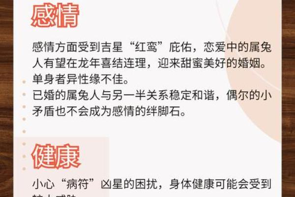 探秘1963年兔年:命运与性格的完整解析 探秘1963年兔年:命运与性格的完整解析