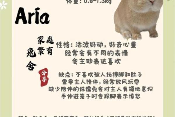 探秘1963年兔年:命运与性格的完整解析 探秘1963年兔年:命运与性格的完整解析