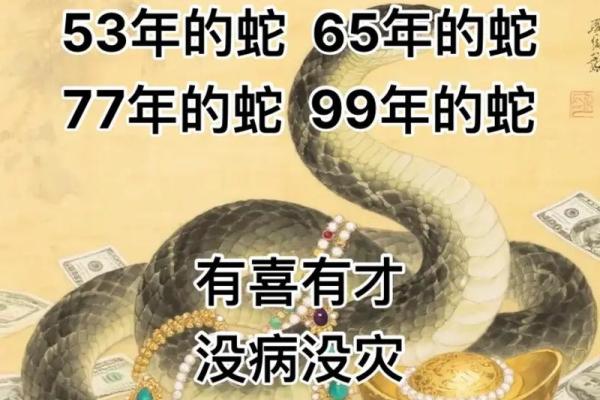 65年属蛇的命运解析:揭开成功与挑战的双面故事 65年属蛇的命运解析:揭开成功与挑战的双面故事