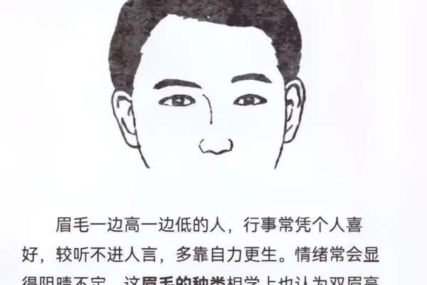 男孩眉毛长的特别命运:揭示眉毛与性格的微妙关系 男孩眉毛长的特别命运:揭示眉毛与性格的微妙关系