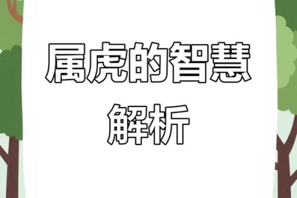 1962年属虎之人:勇气与智慧的具象化人生之旅 1962年属虎之人:勇气与智慧的具象化人生之旅