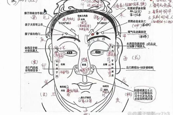 什么样的命格可能长相高贵？揭秘高贵面相的秘密！