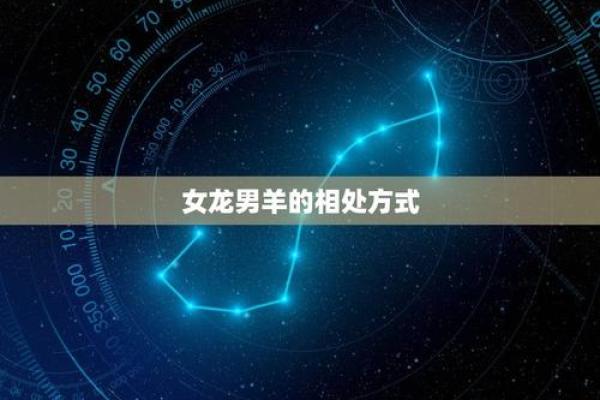 龙丈夫的媳妇:命运与生活的奇妙交融 龙丈夫的媳妇:命运与生活的奇妙交融