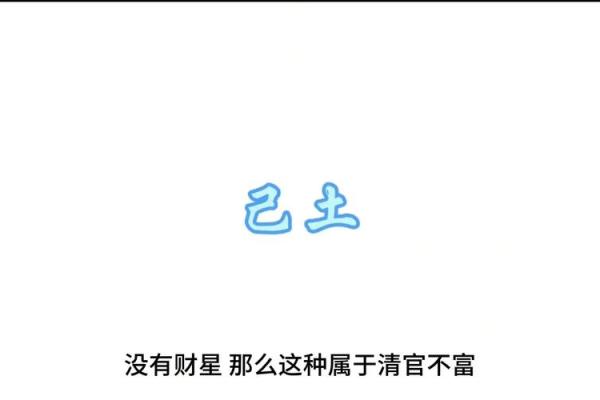 2006年土命解析:探寻土命背后的神秘与魅力 2006年土命解析:探寻土命背后的神秘与魅力