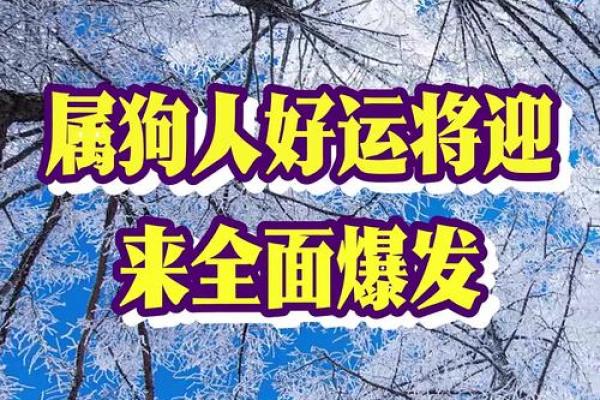 51岁属狗女性的命理解析:掌握人生的好运与挑战 51岁属狗女性的命理解析:掌握人生的好运与挑战