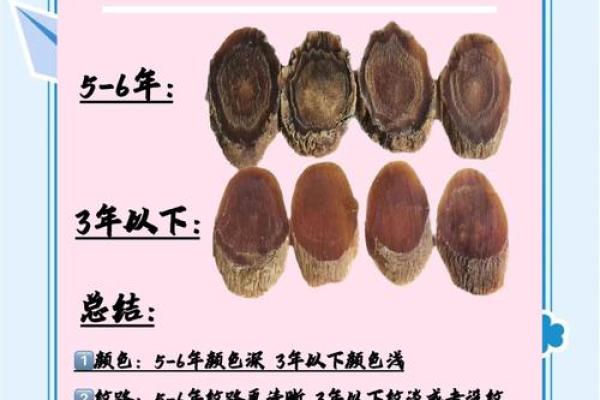 红参的神奇力量:揭开滋补养生的秘密之谜 红参的神奇力量:揭开滋补养生的秘密之谜