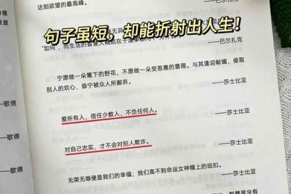 82年腊月十三:命运之轮的转动与人生智慧的启示 82年腊月十三:命运之轮的转动与人生智慧的启示
