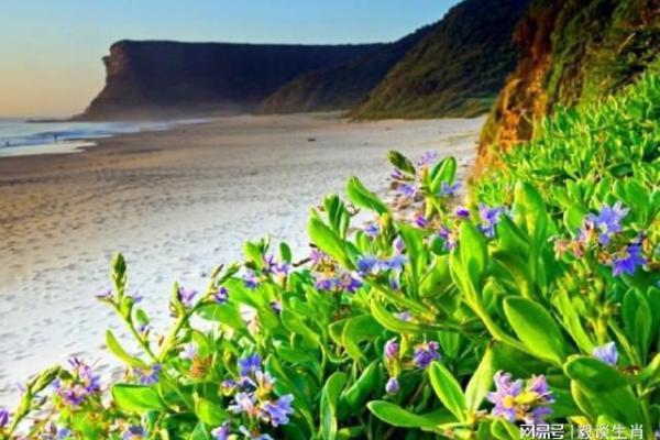 1942年属蛇人命运解析:聪慧与机缘的交织之旅 1942年属蛇人命运解析:聪慧与机缘的交织之旅