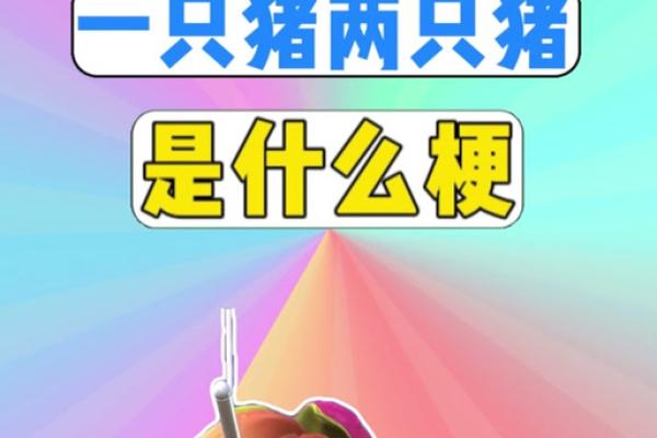 2019年猪宝宝命运解析:发现你的小宇宙,开启精彩人生之旅! 2019年猪宝宝命运解析:发现你的小宇宙,开启精彩人生之旅!