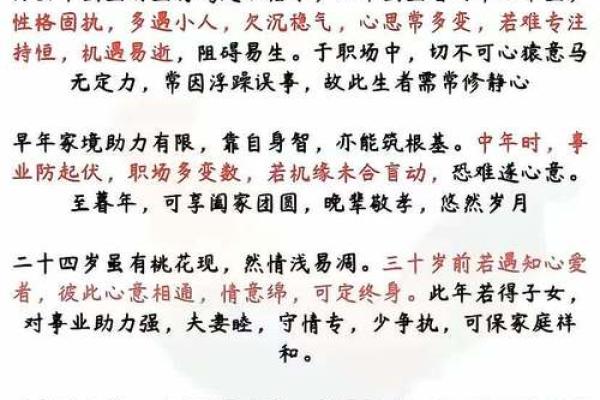 2019年鸡命解析：探秘生肖鸡的财富与运势之道