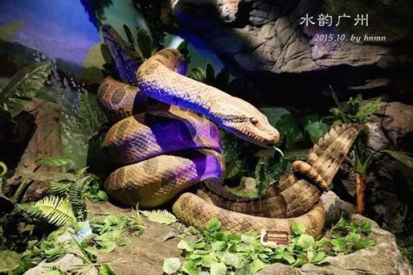 金蛇之命的颜色选择:探寻能量与运势的秘境 金蛇之命的颜色选择:探寻能量与运势的秘境