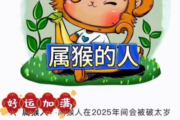 2016年农历宝宝的命运解析:生肖猴的未来与运势之路 2016年农历宝宝的命运解析:生肖猴的未来与运势之路