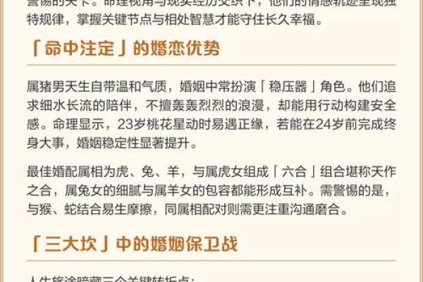 1995年出生的属猪人:命运与性格的深度解析 1995年出生的属猪人:命运与性格的深度解析