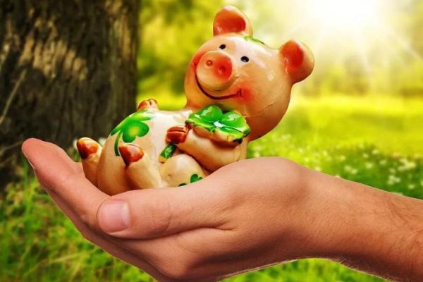 1995年属猪之人:命理解读与人生建议 1995年属猪之人:命理解读与人生建议