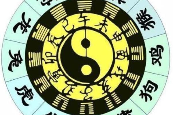 海中金命的命理解析与最适合的宠物选择 海中金命的命理解析与最适合的宠物选择