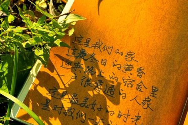 请物命:探寻物品背后的命运与意义 请物命:探寻物品背后的命运与意义