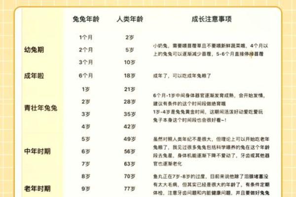 2001年土兔命:解读兔年人的命运与性格特征 2001年土兔命:解读兔年人的命运与性格特征