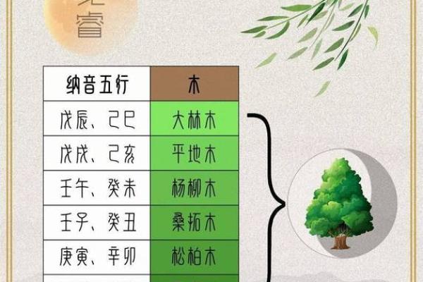 探秘大林木:适合哪些命理的完美搭配? 探秘大林木:适合哪些命理的完美搭配?